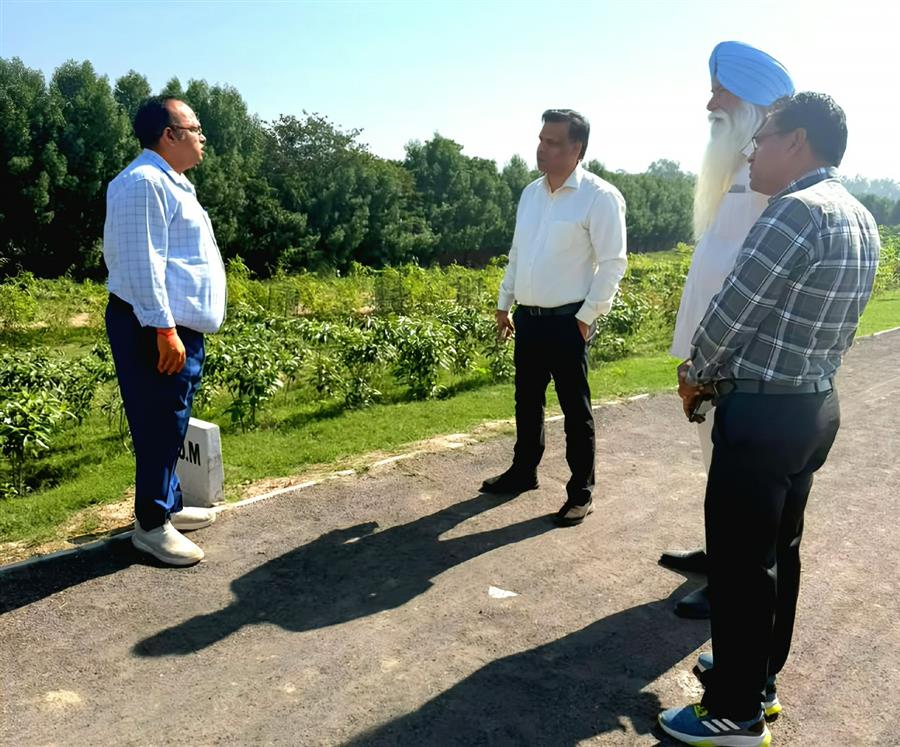 डड्डूमाजरा लैंडफिल का औचक निरीक्षण